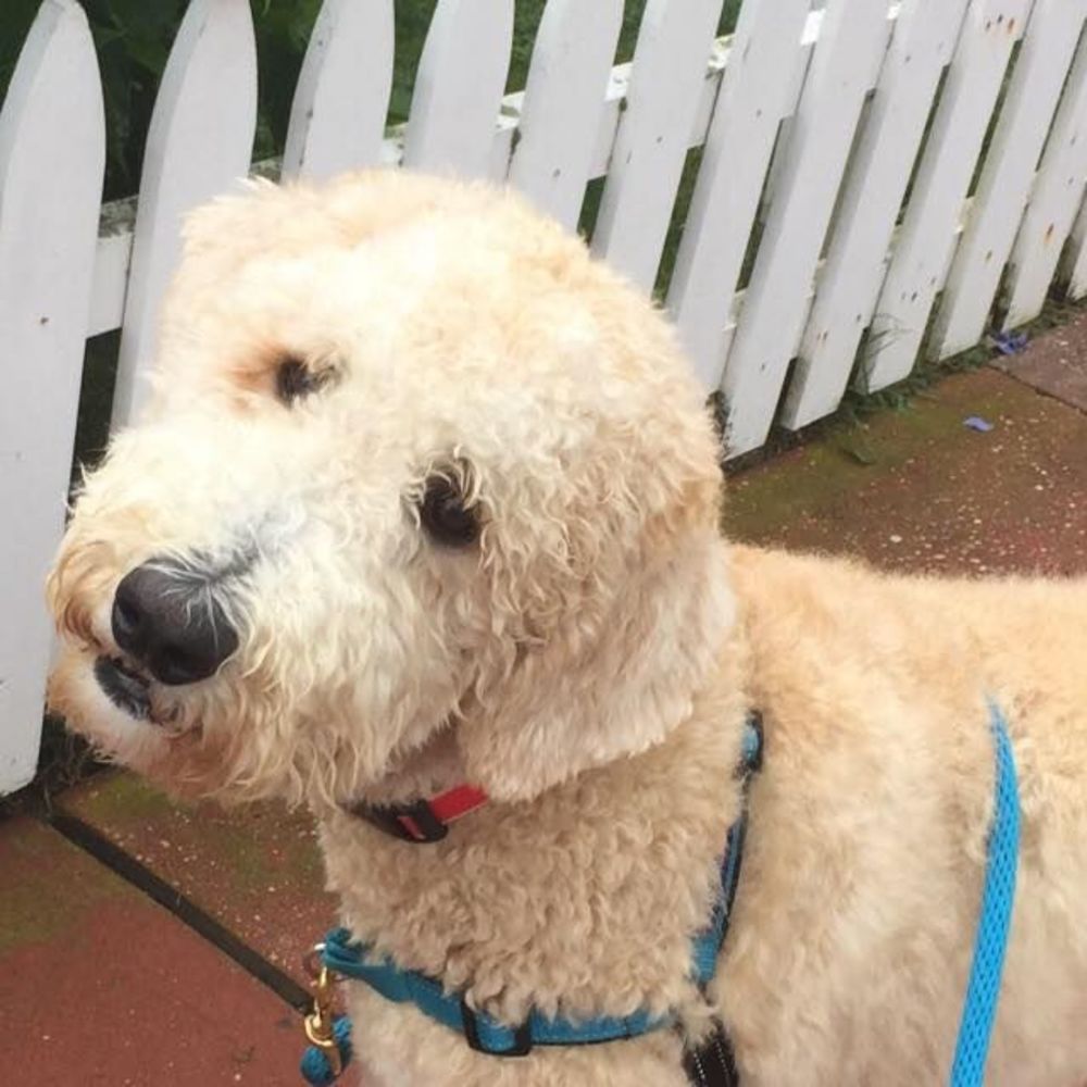 Meet your Posher, Andrea